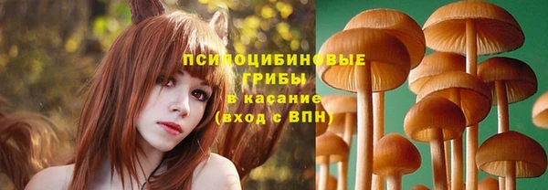 мескалин Белокуриха