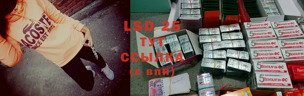 шишки Наволоки