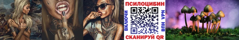 наркота  Кореновск  Галлюциногенные грибы MAGIC MUSHROOMS 